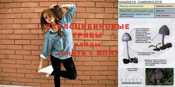 прущие грибы Арсеньев