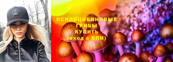 каннабис Аркадак