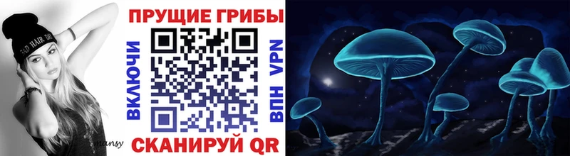 Галлюциногенные грибы Psilocybine cubensis  Сасово 